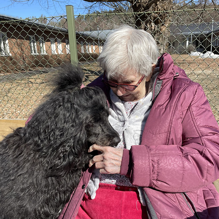 Vårdhund äldre omsorg