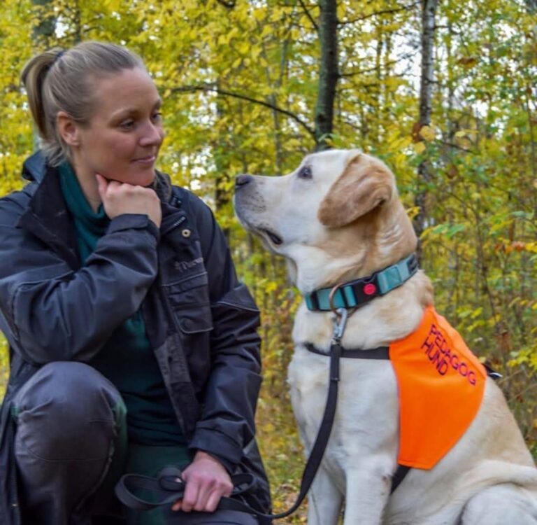 Terpihund Linköping