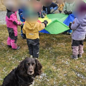 Terapihund Uppsala
