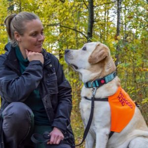 Terpihund Linköping