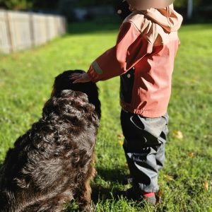 Terapihund Uppland