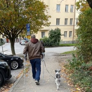 Terapihund Stockholm