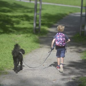 Terapihund Stockholm