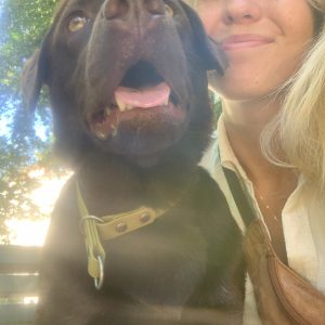 Terapihund Stockholm