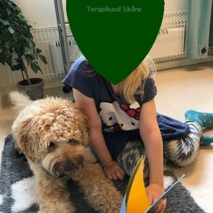 Terapihund i Skåne