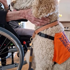 bill brevid någon i rulltol