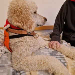 bill hos 3e person i säng