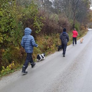 Terapihund Trollhättan