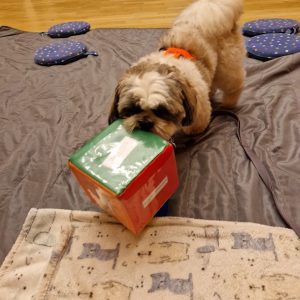 sagostund Sickan puttar tärning