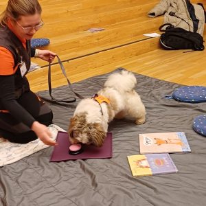 sagostund sickan talknapp