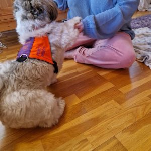 sickan tar tassi hand med kvinna