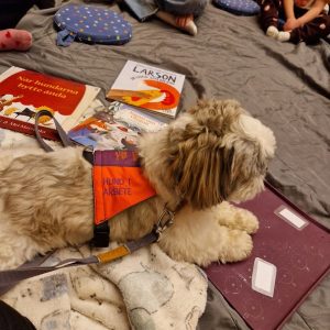 sickan väljer lappar sagostund